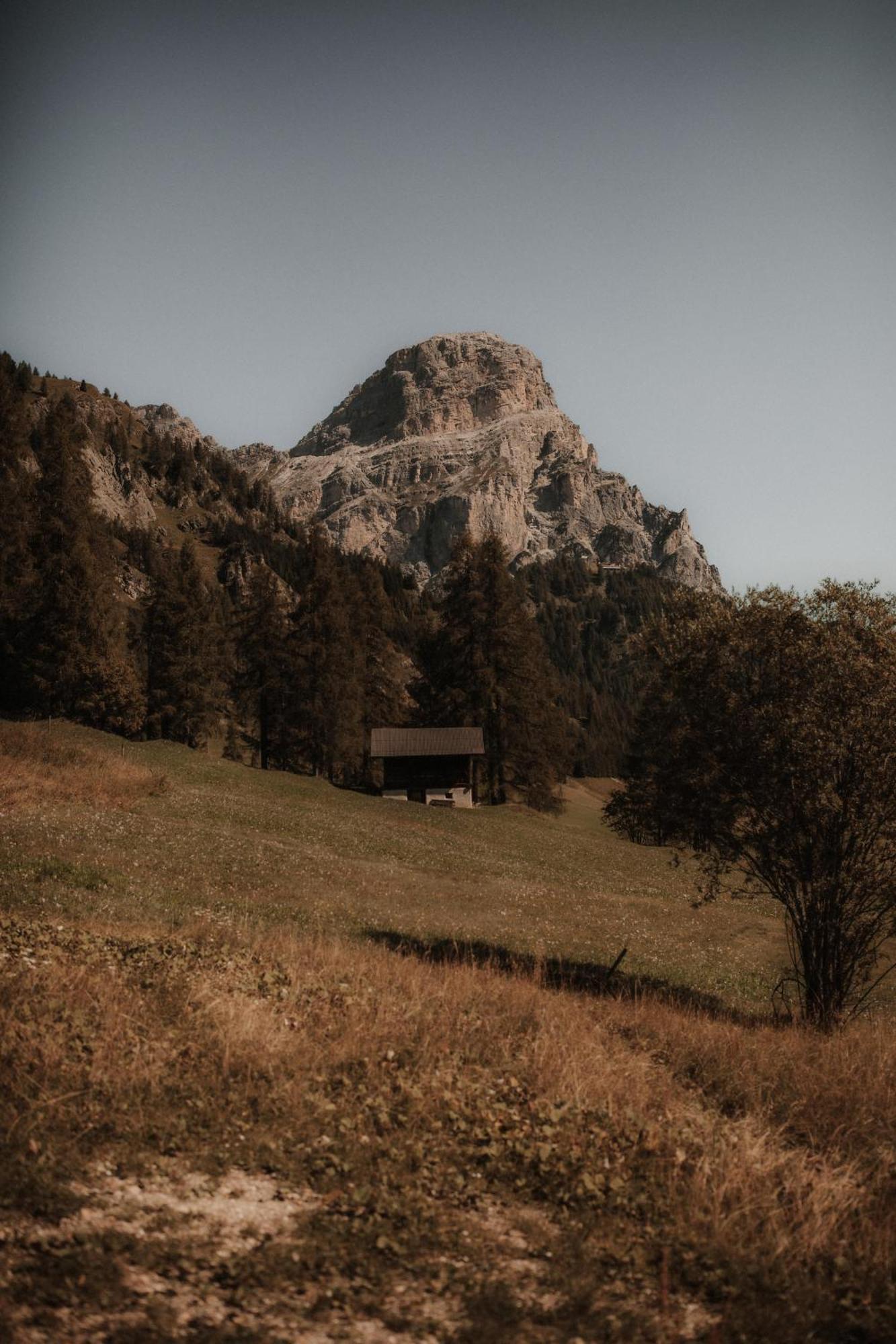 Chalet Roenn Colfosco Εξωτερικό φωτογραφία
